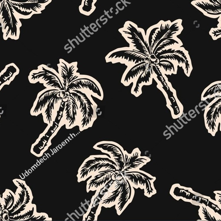 Palm Trees